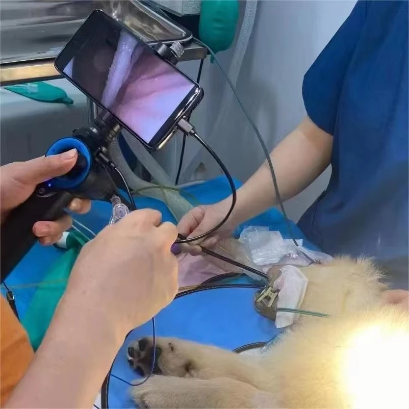 Economical and Reusable ABS Veterinary Hysteroscopy Kit 720P High Definition Camera Surgical Instrument, Suitable for Dog