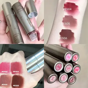 Langzeitmattem Lipgloss, Lack, nacktes Braun, Zimt und Nudelmilchtee, wasserdichte Lippenstrahl 10 Hauptverkauf Brown Lippenstifte - №9