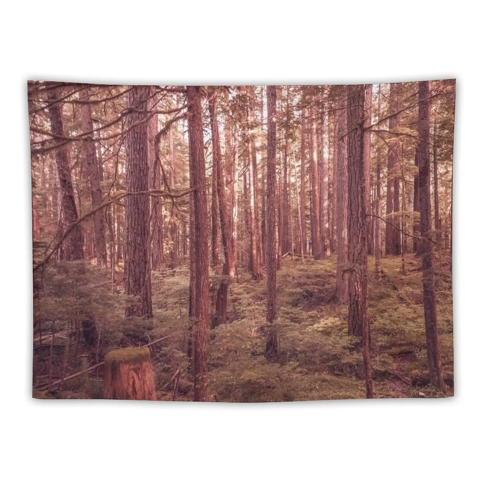 

Forest Trees - The Vintage Wilds Tapestry Room Decorations Aesthetics Decor For Room Home Decorations Aesthetic Tapestry