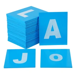 Baby Toy Wooden Montessori Lower and Capital Case Sandpaper Letters Blue Color Wood Double Print for Early Childhood Preschool