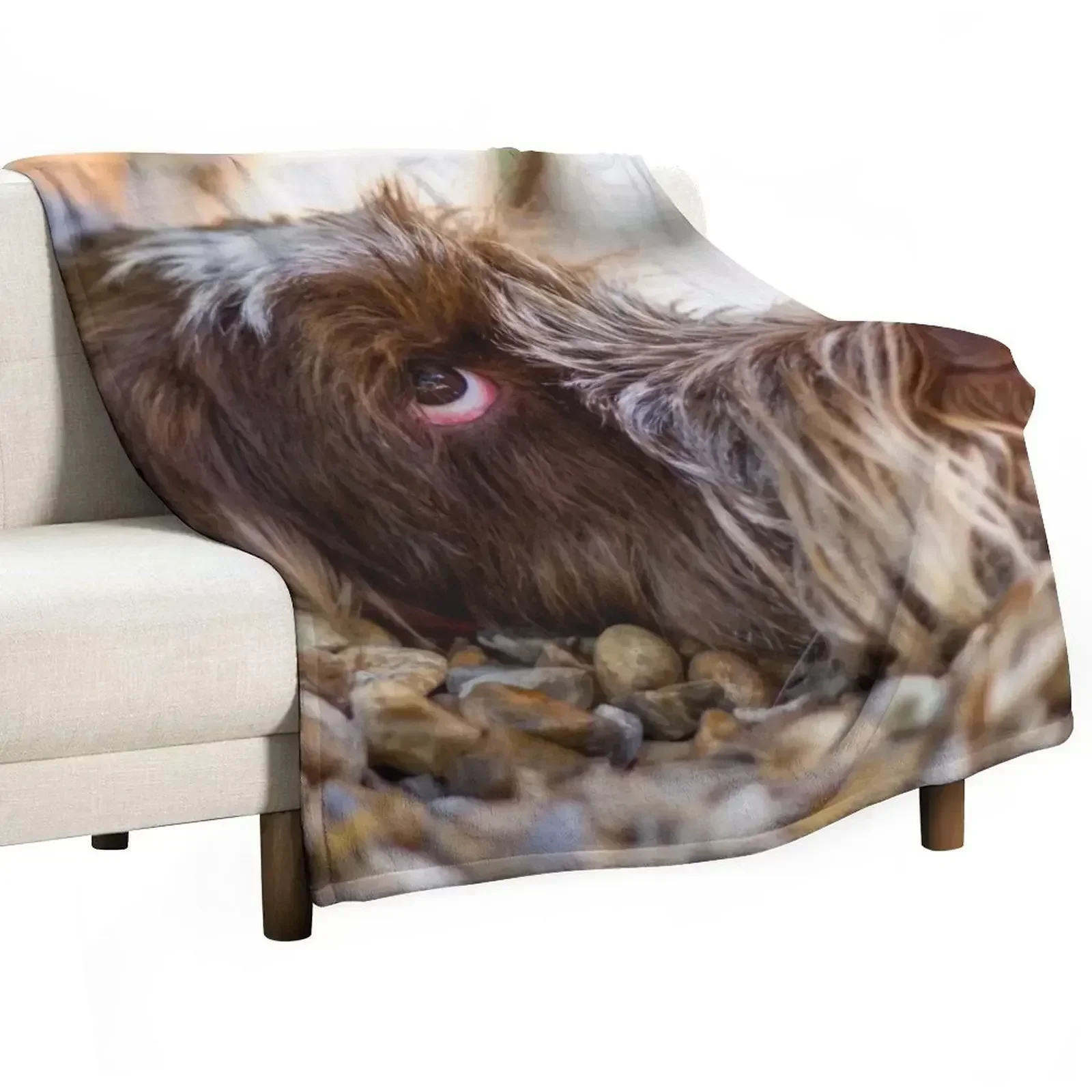 

Looking up Spinone Throw Blanket Single Custom Hair bed plaid Blankets