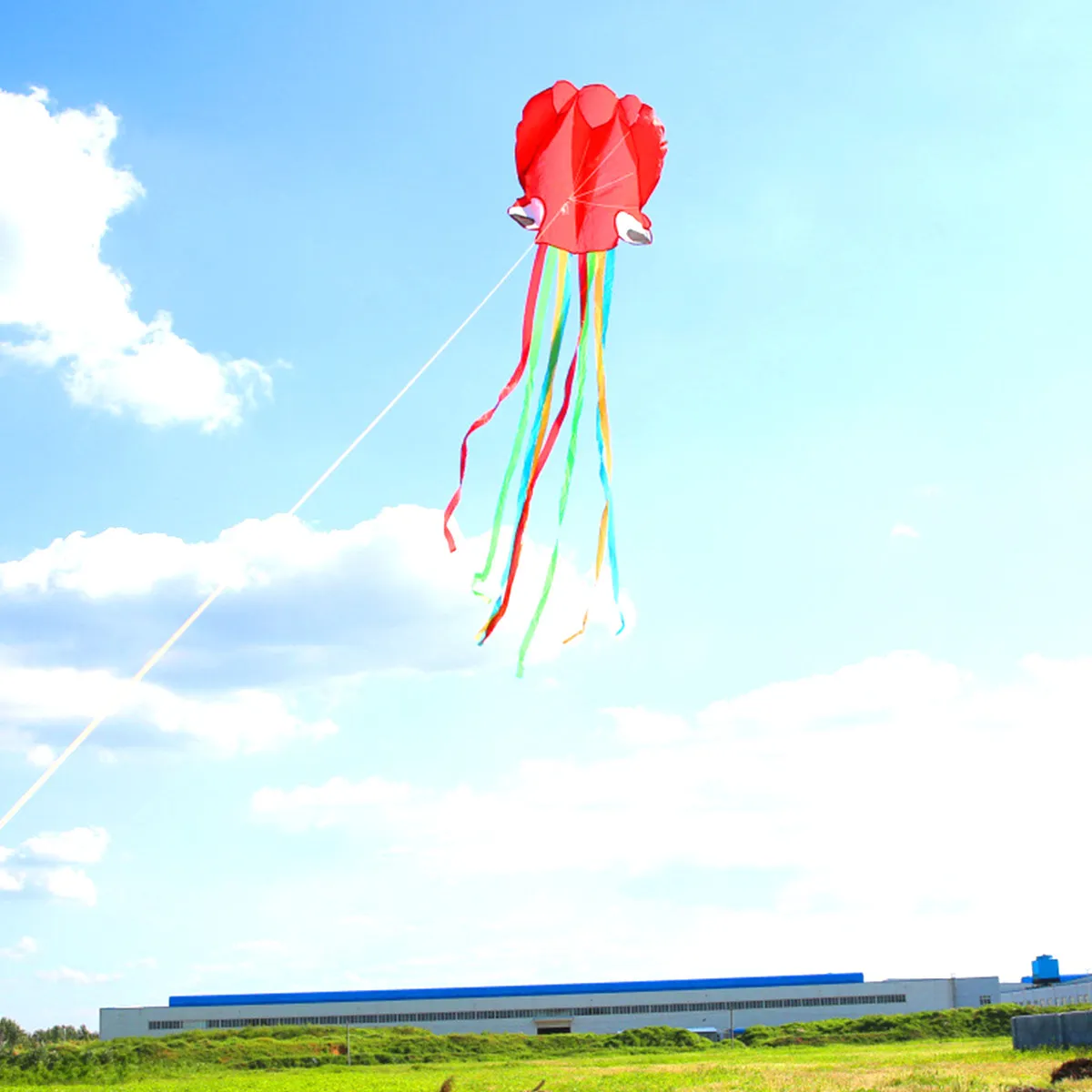 

2Pcs Flying Octopus Kite 4M Windproof Kids Outdoor Kite Polyester Material No Framework Required Beach Park Family