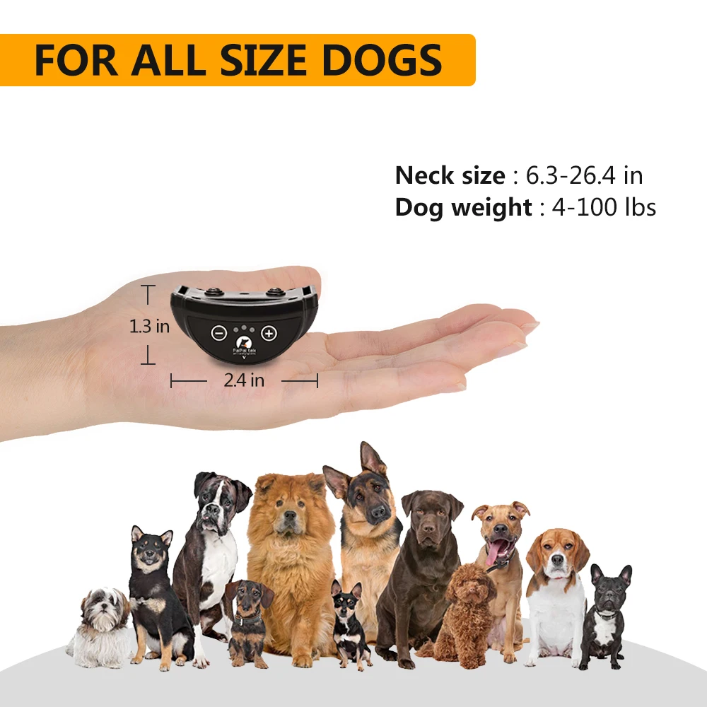 Thumbnail 2 - #10 Best Dog Collars to Buy In 2026