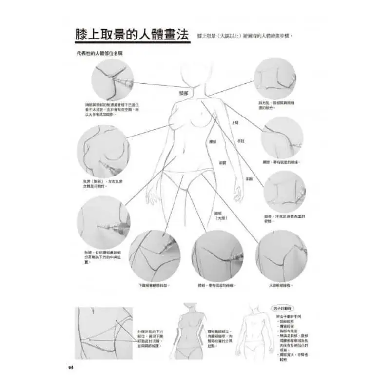 مشرف الرسوم المتحركة ماستر أنثى تقنيات رسم الشخصيات تصميم الشخصية عرض الحركة إضافة الظلال