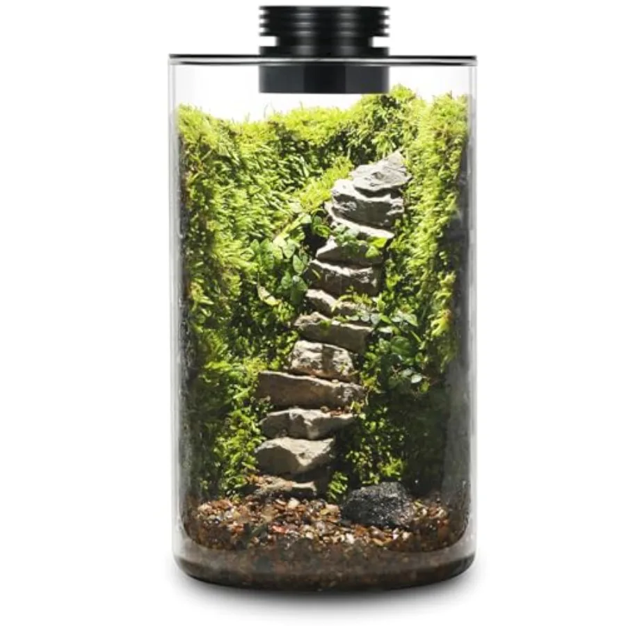 

Desktop Glass Plant Terrarium with Grow Light H:9.8 D:5.9,for Succulent, Moss, Miniature Gardening Landscape, Betta Fish Tank,