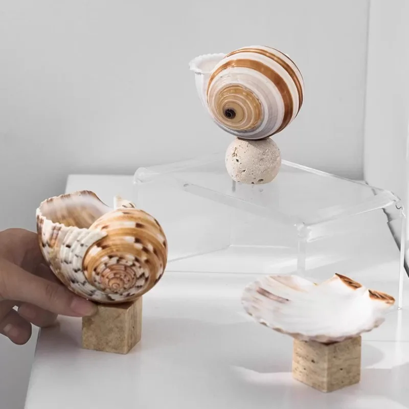 Creative Small Jewelry Tray Nordic Marble Travertine Shell Sculpture Seashell Ring Earring Holder Home Desktop Ornament Decor