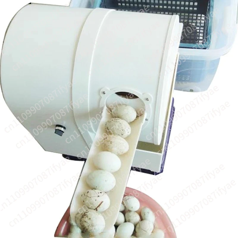 Electric Egg Washing Machine Chicken Duck Goose Egg Washer 2400 pcs/h Poultry Farm Equipment 220V 120W Egg Cleaner Wash Machine