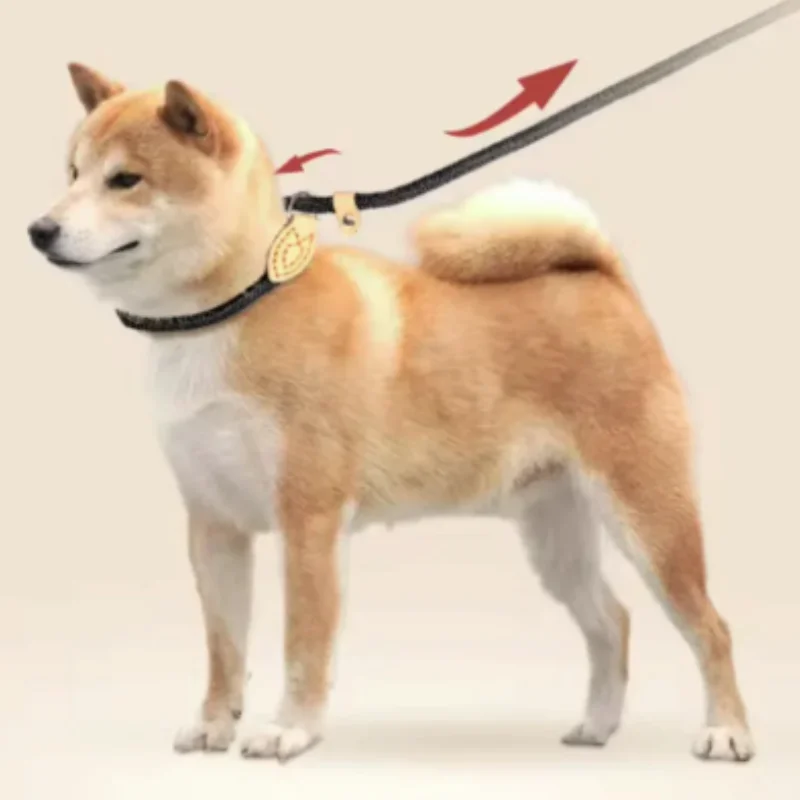 Neue Hundeleine, Slip-Leine, Robuste Geflochtene Seilleine mit Verstellbarem Schlaufenhalsband, Trainingsleine für Kleine und Mittelgroße Hunde – Detail 5