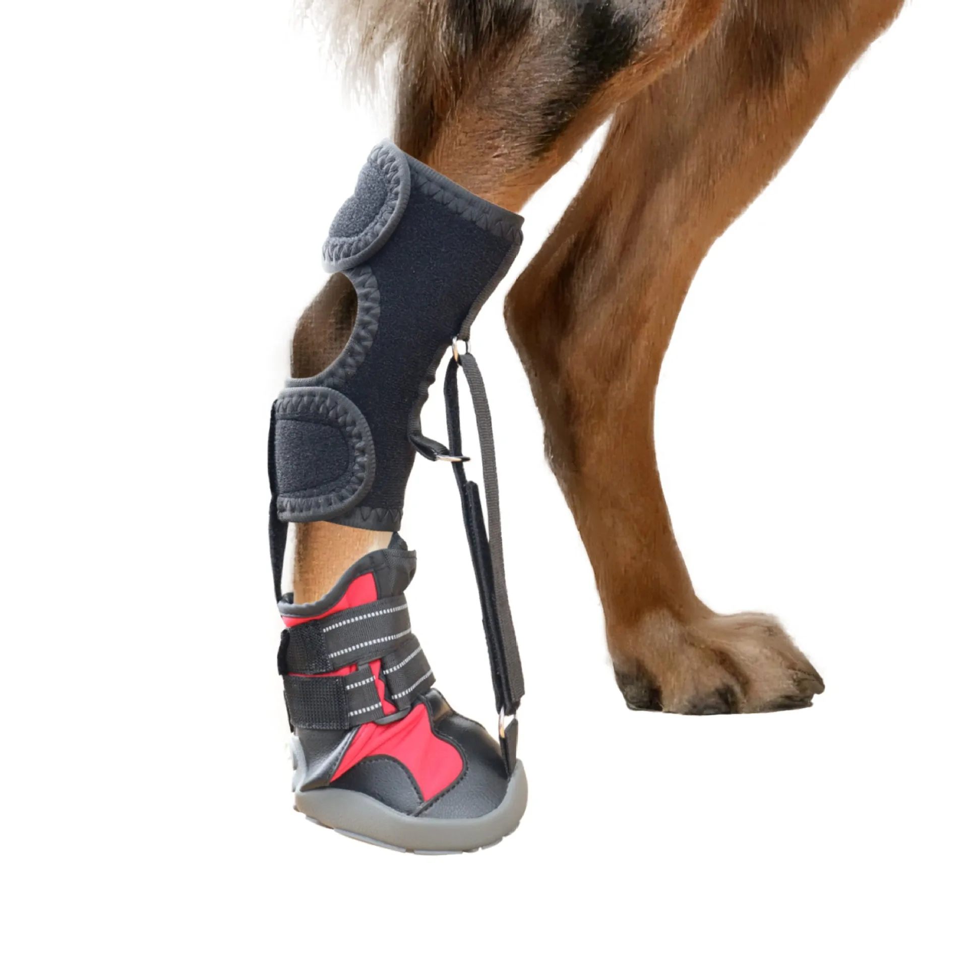 Spring and Autumn pet dog shoes are anti fouling and wear-resistant hard soled dog shoes with gold fur foot protectors that are - view 5