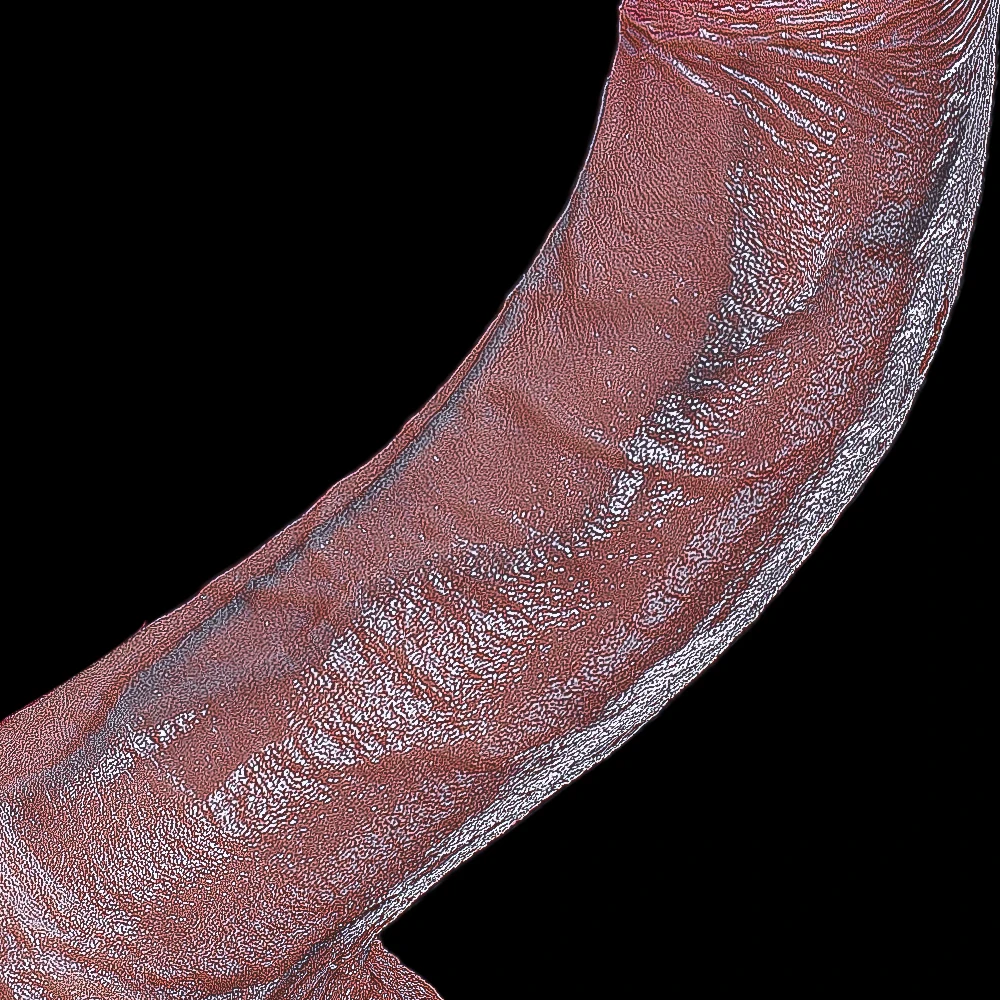 Realistic Anal New Dildo Buttplug Prostate Massager with Suction Cup Penis for Beginners Sex Toy for Women Anal Vaginal Masturba