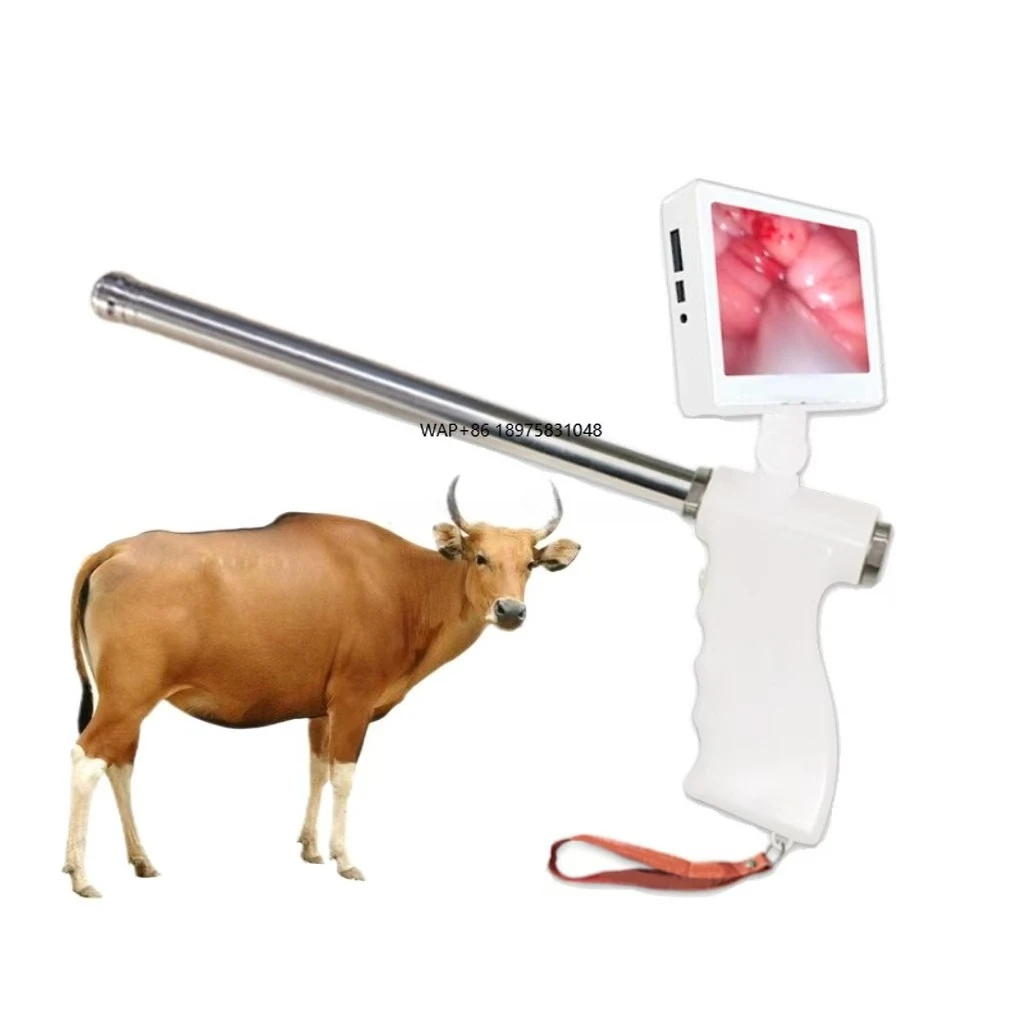 Digital Artificial Vision Insemination Endoscopic Sperm Device Deferens Veterinary Breeding Kit