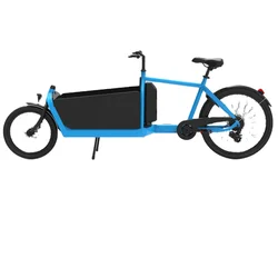 Electric Bicycle 250w Hub Motor Pedal 2 Wheel Bakfiets 7 Speed Steel Bike Frame Dutch Cargo Bike With For Child