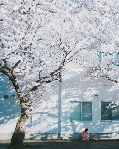 

10Pcs M3 Metal Hex Ball Head Screws for Tamiya TT01 TT02 Sakura D5 1/10 RC Drift Car Spare Parts Universal