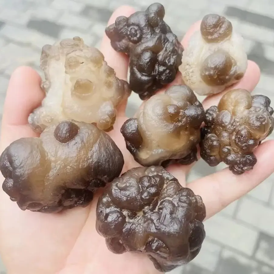 Natural Raw Panda Agate  Mineral Specimen with Various Shapes Pictographic Panda Agate Stone  for Room Decoration Collection