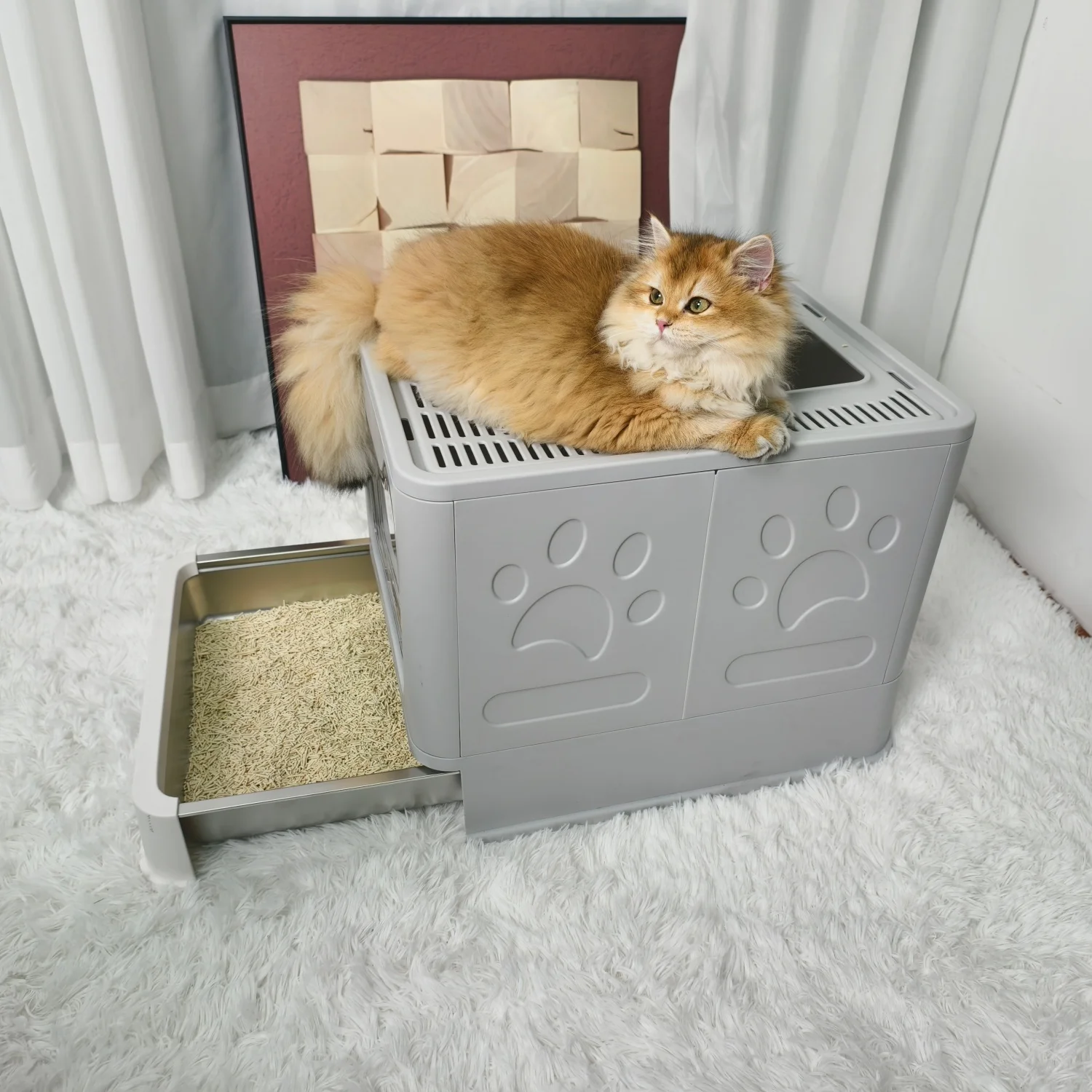 #24 Ranked Cat Litter Trays Picks in 2026