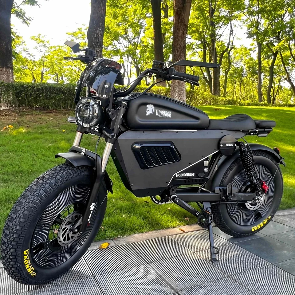 Original -SS10 3000W for US  Black Warrior Electric Bike 60V Adult Off-Road Electric Bike From the USA Warehouse image 2