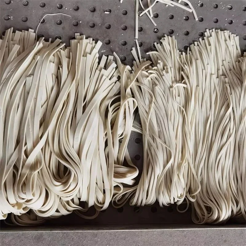 Intelligent Noodle Making Mach - Pasta Machine Electric recension och pris