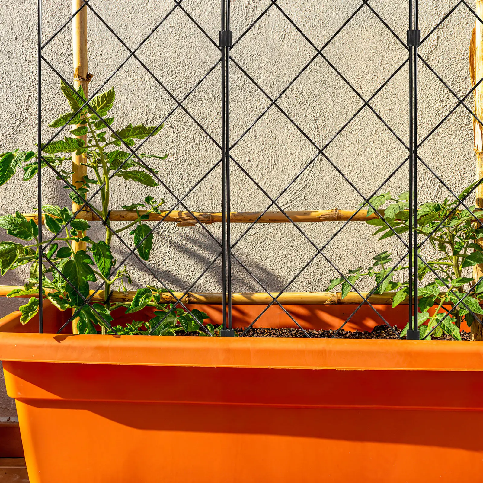 

Sturdy Foldable Plant Support Stand Iron Trellis for Climbing Plants Tomatoes Peas Cucumbers Bitter Melon Flowers Wall Mounted