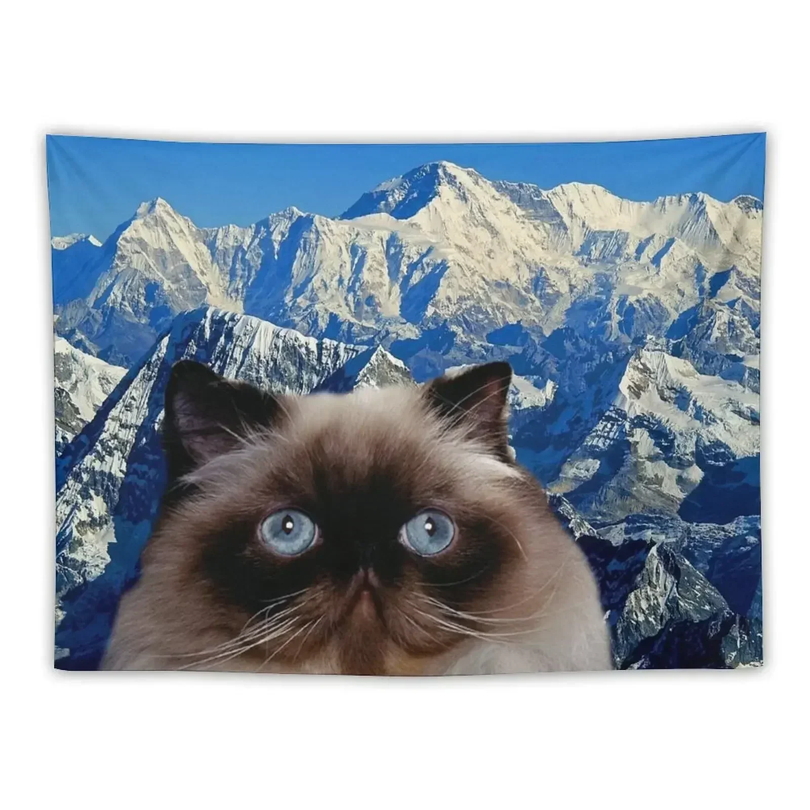 

Himalayan Cat Tapestry Aesthetic Home Decor Kawaii Room Decor Room Aesthetic Tapestry