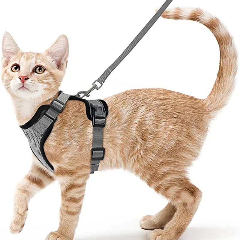 Katzengeschirr und Leine zum Spazierengehen, auslaufsichere, weiche, verstellbare Weste, Geschirre für Katzen, EasyControl