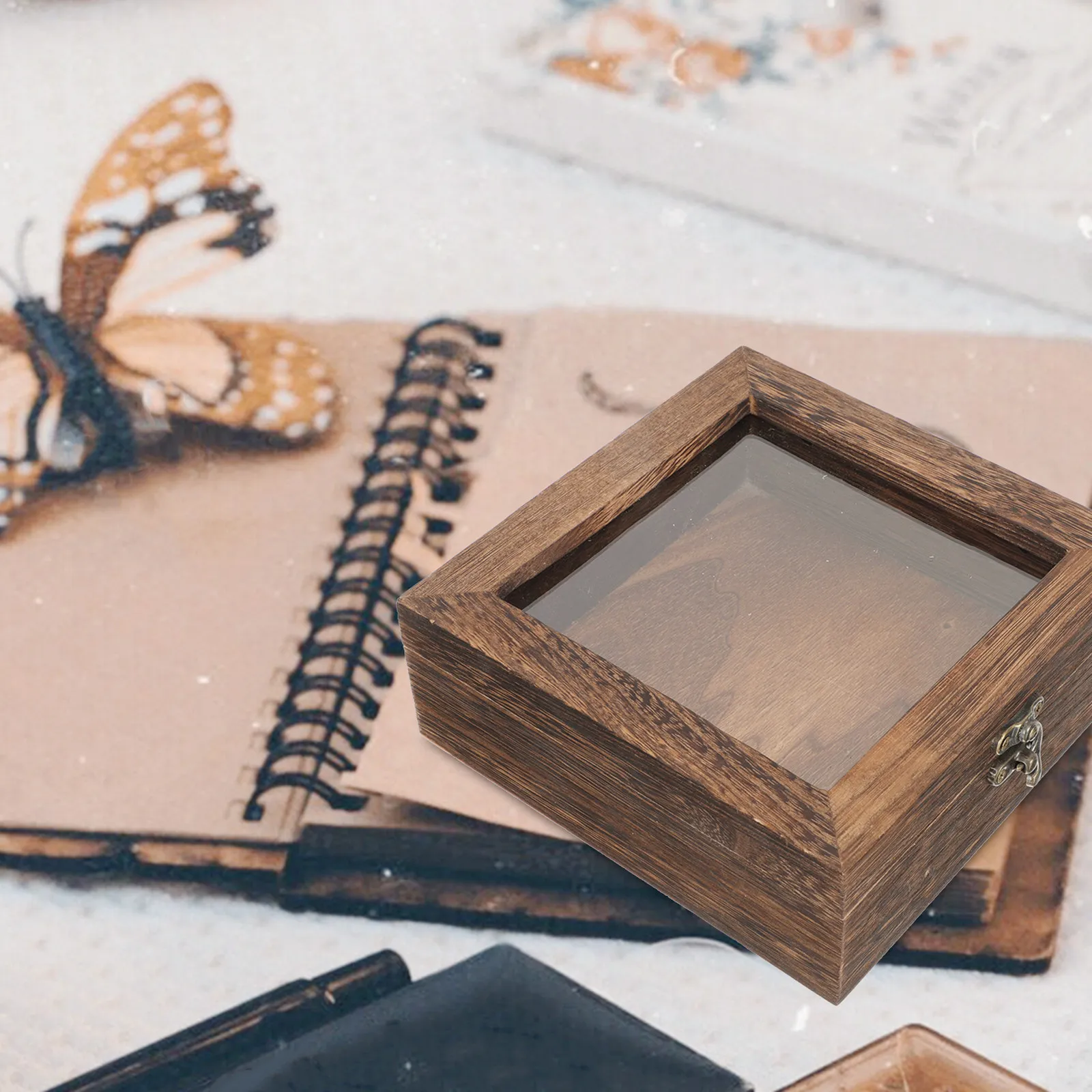 Insect Specimen Box Premium Transparent Display Case Retro Vintage Wooden Sample Holder Jewelry Storage Organize Desktop