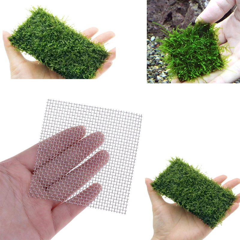 

5Pcs Aquarium fish tank stainless steel wire mesh plants moss net decor 8x8cm