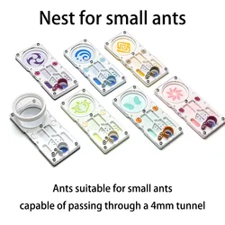 3D printed small ant nest with Genshin Impact elements, new queen chamber, DIY ant farm, suitable for small ants under 5mm.