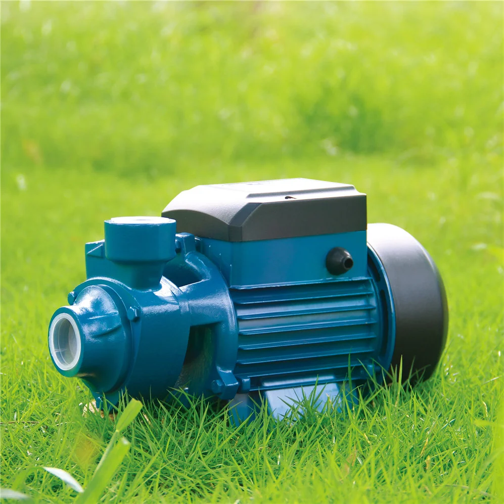 渦流農業用表面ポンプ ガーデン電動Qb60 農場灌漑用水ポン - Farming Pump For Agriculture のレビューと価格
