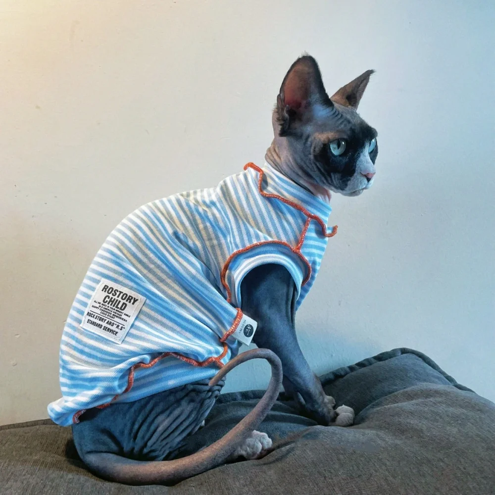 Blue Striped Short Sleeves T-shirt for Male Cats in Spring Cotton Sweet Summer Jumpsuit for Devon Rex Summer Vest for Sphynx Cat