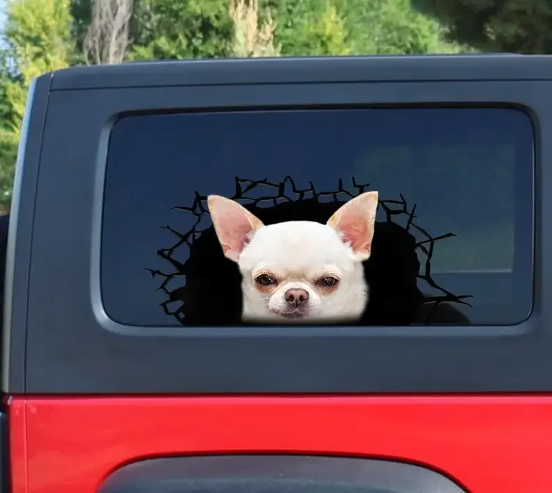 Funny chihuahua car decal, cracked window decal , chihuahua car sticker