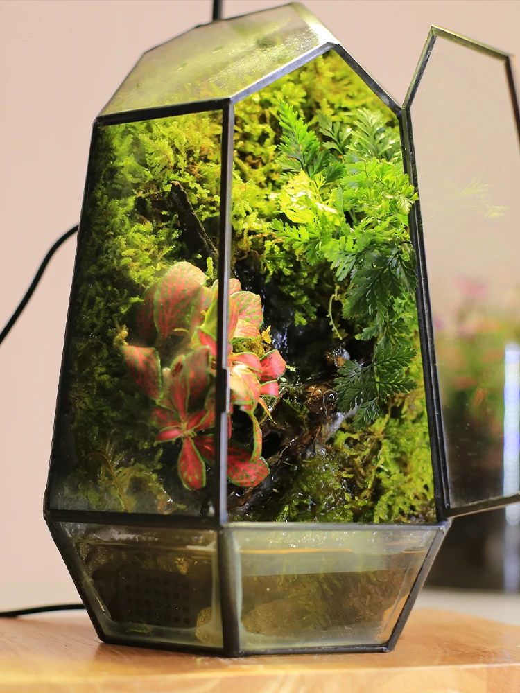 

Moss micro-landscape ornament ecological bottle office desktop running water green plants landscaping potted plants