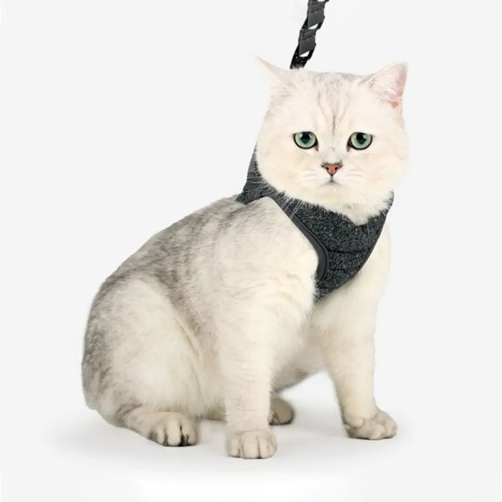 

Polyester Pet Harness Leash Set Breathable Soft Cat Chest Strap with Traction Leash Adjustable Cat Escape Proof Collar Strap Cat