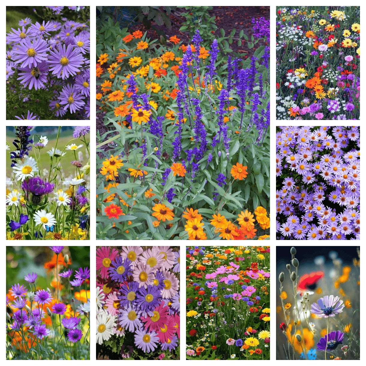 

Purple Flower Sea AB Diamond Painting Daisy Exquisite Full Diamond Mosaic Cross Stitch Embroidery Home Decoration Crafts