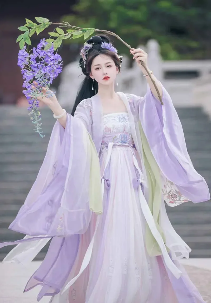 Hanfu Dress Women Ancient Chinese Traditional Embroidery Hanfu Female Fairy Cosplay Costume Outfit Summer Purple Hanfu Dress