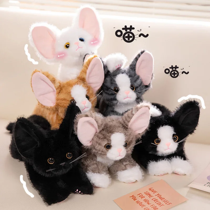 

Like Real Soft Devon Rex Little Kitten Doll Plush Toy Stuffed Black Orange Brown White Grey Cat Plushie Small Gift