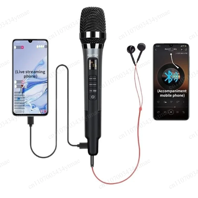 All-in-One Reverberation Mic Heart Directional Pickup Portable Karaoke Microphone For Indoor Outdoor Use