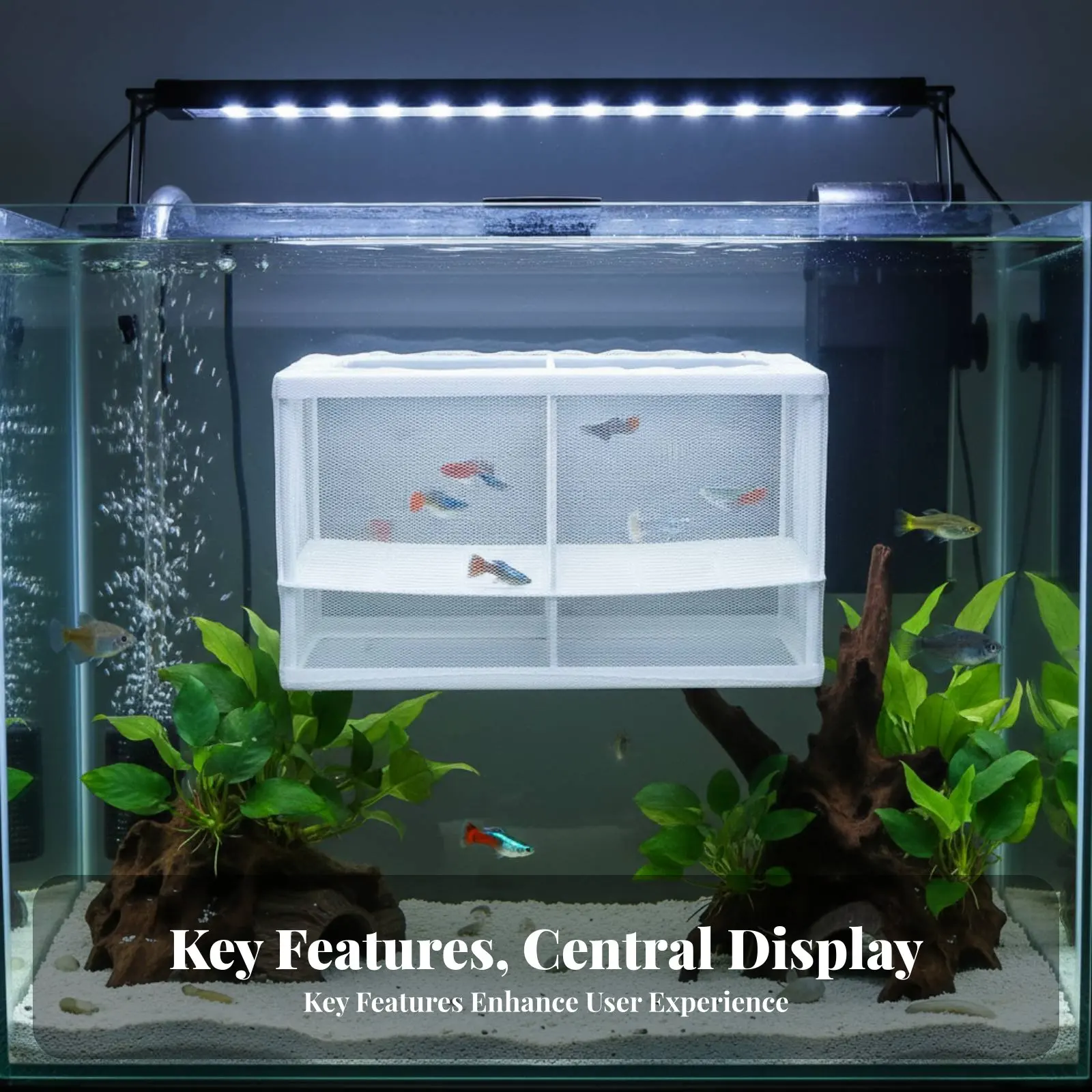 

Aquatic Breeding Box Vented for Water Flow Aquatic Fry Separation Hatchery Aquatic Habitat Nursery Box Removable Dividers