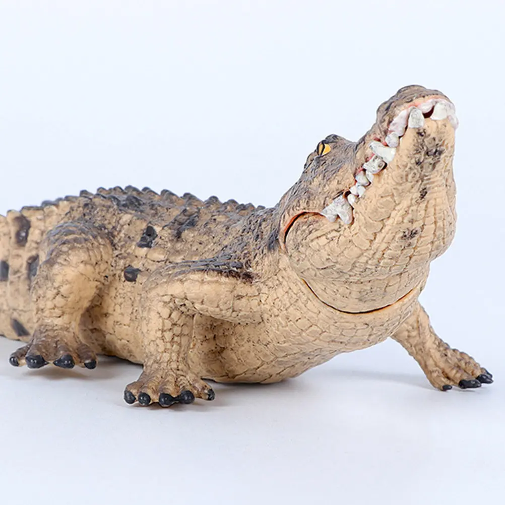 

Набор из 2 реалистичных пластиковых фигурок животных для детской спальни, игровой комнаты, учебной комнаты: развивающие и увлекательные игрушки для изучения и развития познавательных способностей