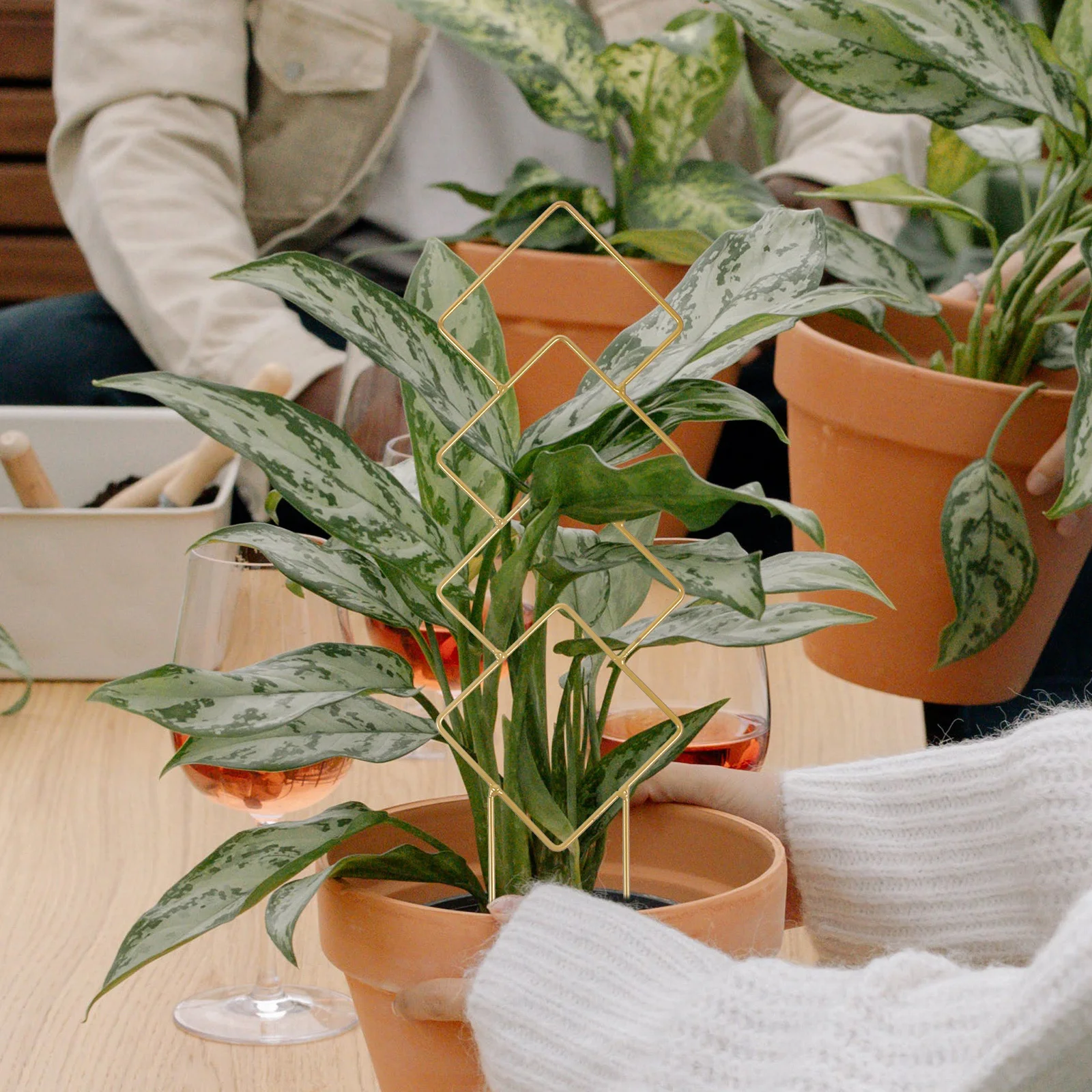 

4Pcs Plant Climbing Frame Metal Trellis for Potted Plants Outdoor Garden Support Vine Climber Decorative Green Plant Stand