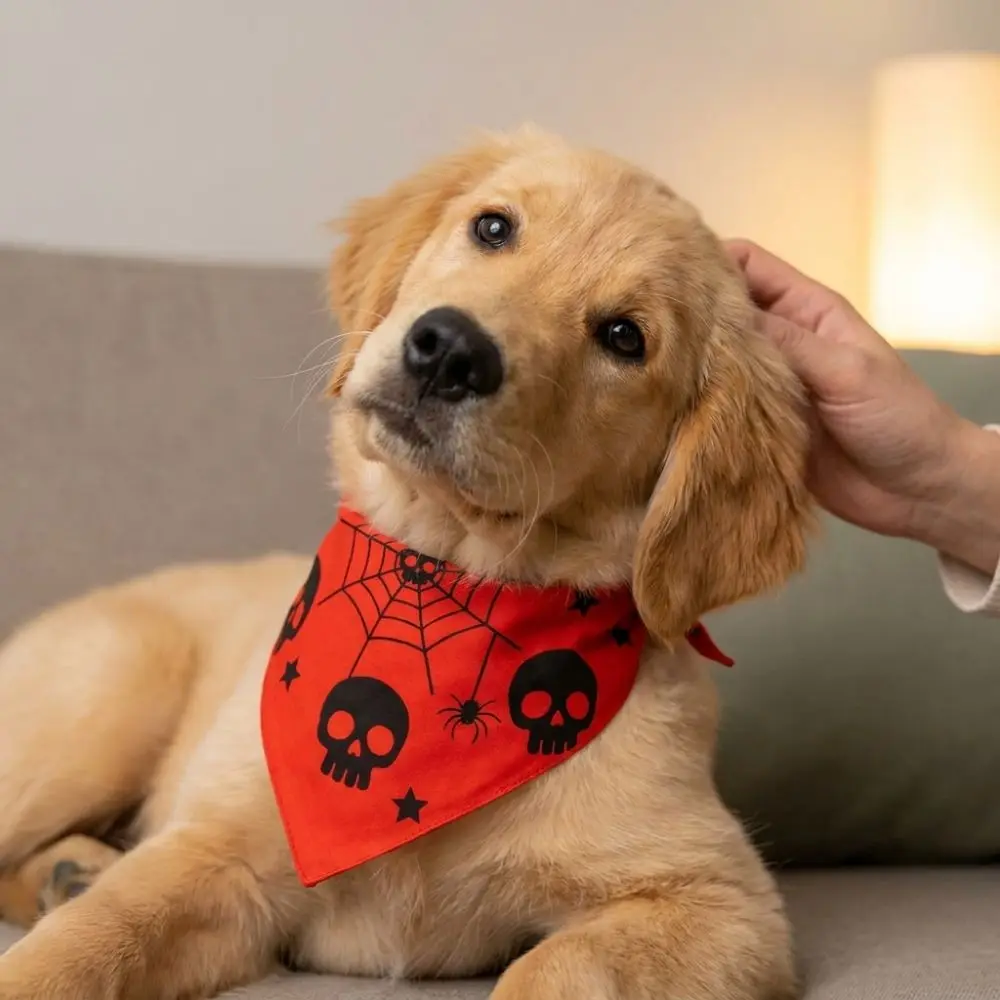 Polyester Pet Halloween Bandana Spider Bat Pattern Soft Skin-Friendly Dog Triangle Scarf Pumpkin Ghost Print Fade Resistant