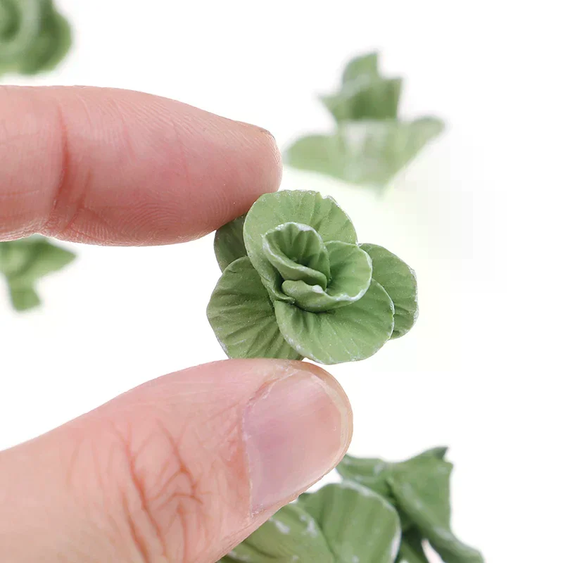 Mini cute handmade clay vegetables Dollhouse cabbage 1:12 Mini Doll House 5Pcs