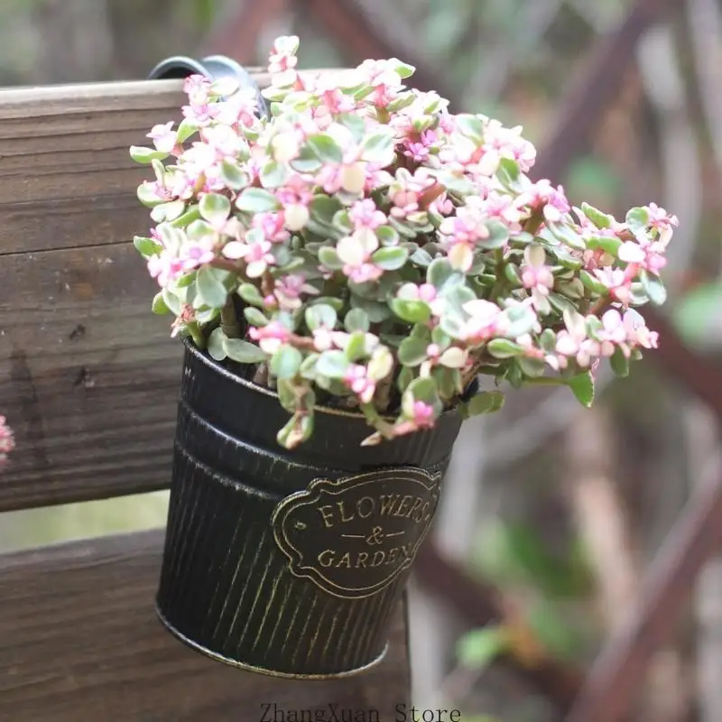 Hängender Blumentopf für den Garten, Metall-Pflanzgefäß für den Balkon, mit erhöhter Frontplakette und täglicher Blumennutzung – Detail 5