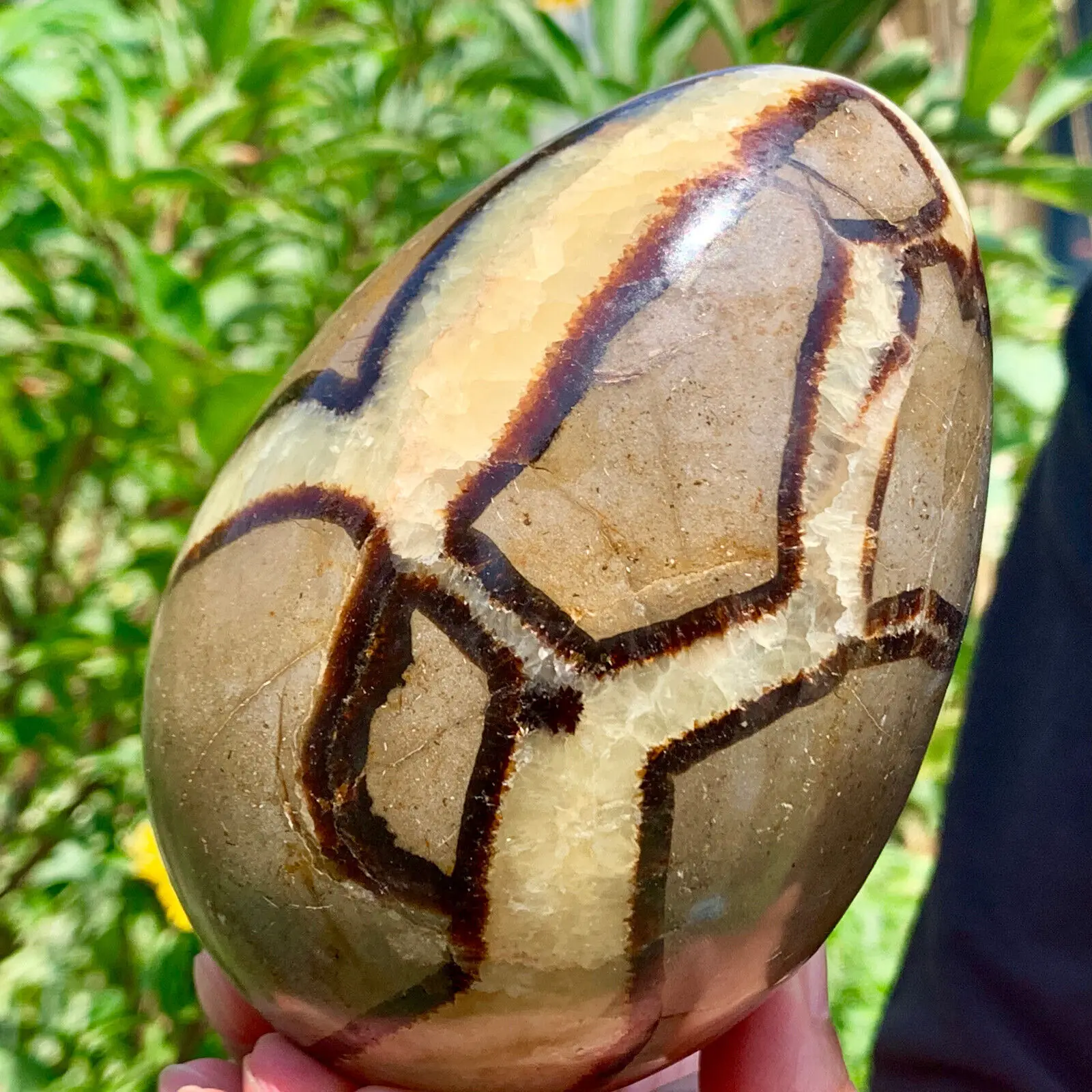 Natural Turtleback Stone Hand Carved Dinosaur Egg Crystal Ore Energy Home Office Decoration Craft Gifts Mineral Healing