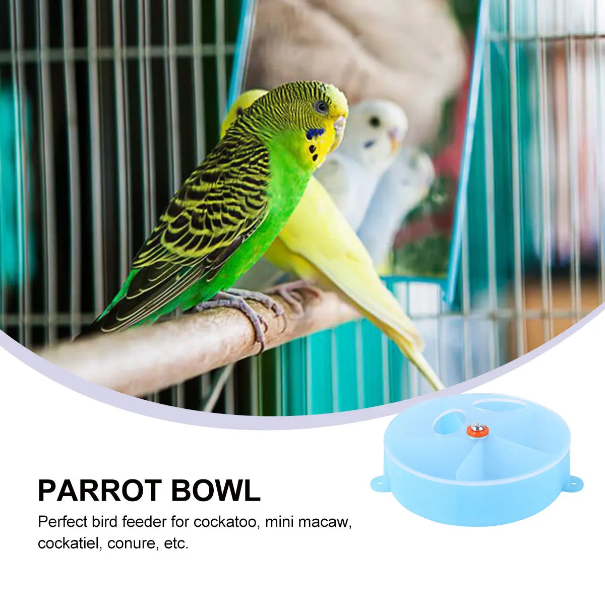 

Creative Parrot Foraging Box Interactive Bird Feeder Educational Parrot Bowl Premium Material Play Gym Prevent Boredom