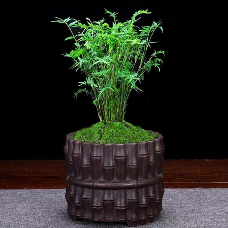 NEW Bamboo Purple Sand Bonsai Flower Pots Traditional Chinese Handmade Crafts Vase Living Room Decoration Potted Plant Ornaments