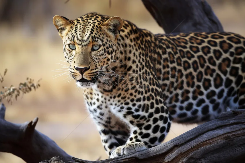 For 1/10 Mjx Hyper … - image