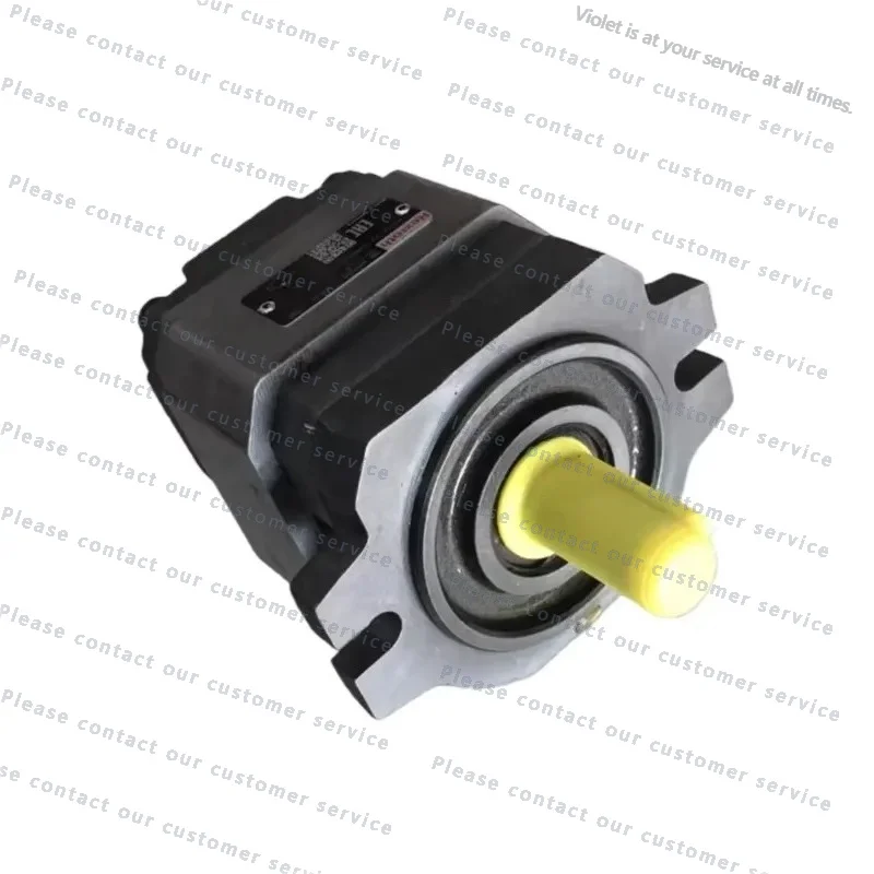 Replacement PGH2 PGH3 PGH4 PGH5 Hydraulic Internal Gear Pump 350 Bar Cast Iron