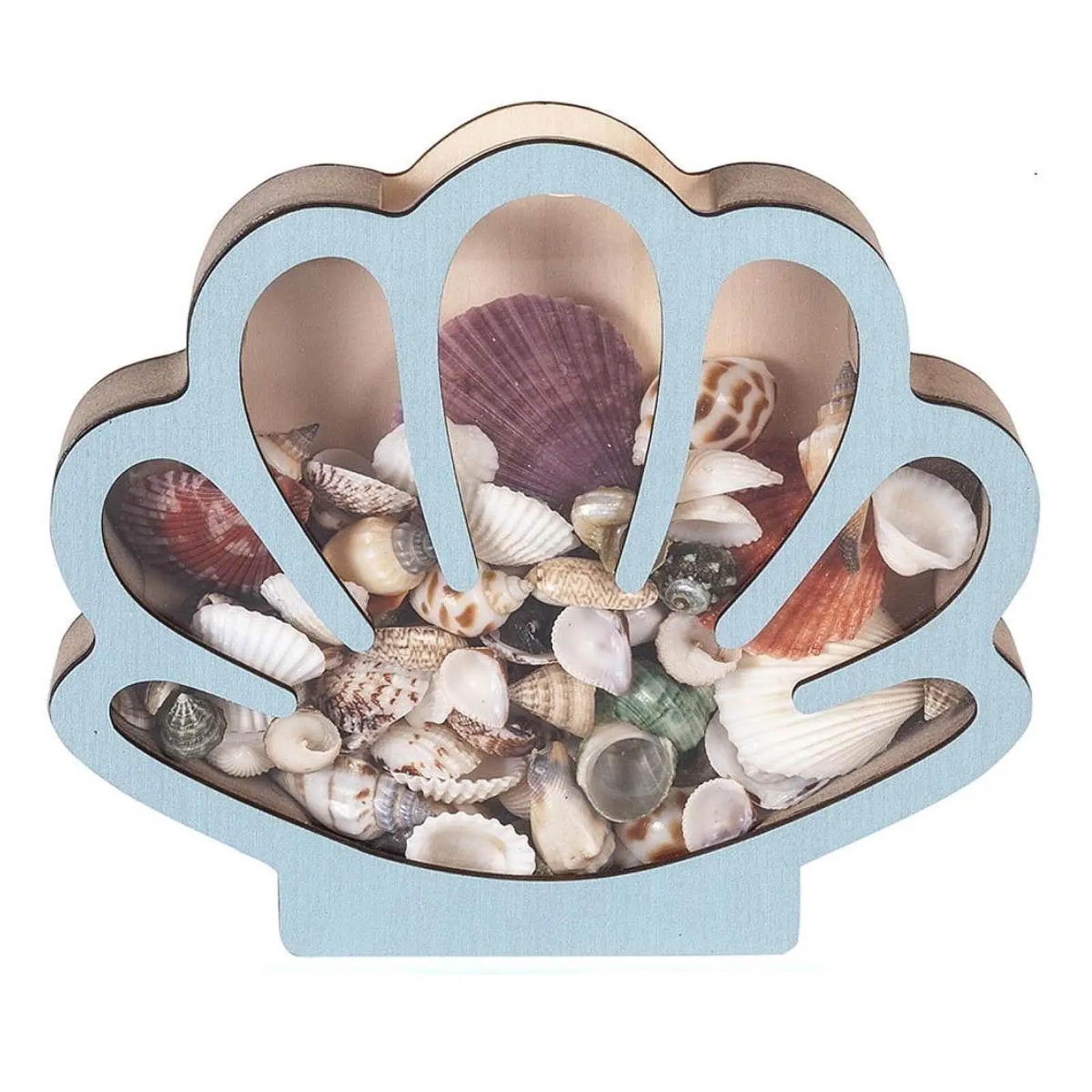 

Shell Display Box Keepsake Jewelry Beads Trinket Stones Collection Piggy Bank Wooden Seashell Holder Ocean Theme Decor Box