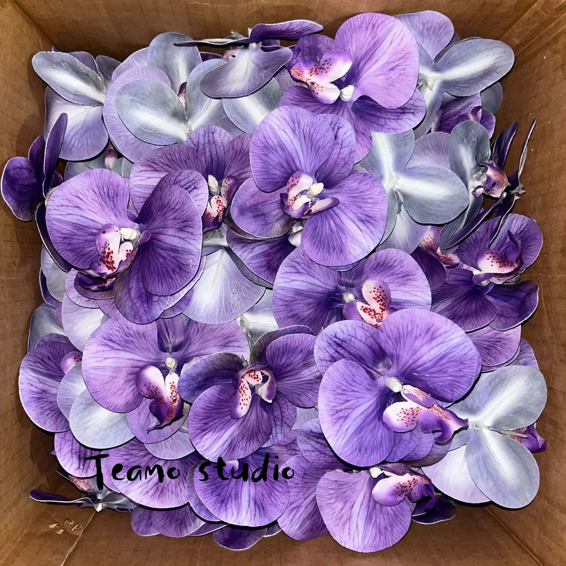 Phalaenopsis Artificial Flower Souvenir 3D Printed Film Orchid Flower Head Decoration Exquisite Wedding Gift Box Decor