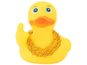 duck